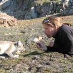 Αλεπού... ο πρώτος "καλύτερος φίλος του ανθρώπου"