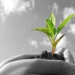 Πνεύμονας Πρασίνου το Αριστοτέλειο Πανεπιστήμιο!