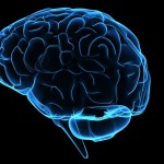 Ο εγκέφαλός μας κινδυνεύει με… υπερφόρτωση