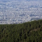Ένας δασολόγος για 190.000 στρέμματα 