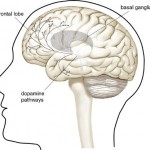 Η ντοπαμίνη του εγκεφάλου φταίει για όλα