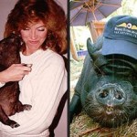 Μπορεί να έχει φτάσει 20 χρονών, να υπόφέρει απο αρθρίτιδα, αλλά ο Oscar συνεχίζει να διασκεδάζει τη ζωή