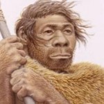 homo_large Το DNA της ψείρας "φανέρωσε" τα πρώτα ρούχα του ανθρώπου