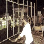Σοβαρά επεισόδια με τραυματίες σε αντιρατσιστικό φεστιβάλ στη Λάρνακα