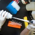 Τα παιδιά μορφωμένων γονιών είναι πιο ευάλωτα στα δερματικά προβλήματα