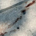 Δολοφονία για μια γυναίκα στη Λαμία