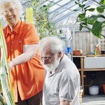 Το μακρύτερο αγγούρι!