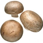 Χάνουν τη ζωή τους ψάχνοντας για μανιτάρια