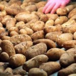 Τρεφόταν για δύο μήνες μόνο με πατάτες!