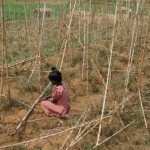 peina_anthropoi_large Υψηλός ο αριθμός των υποσιτιζόμενων ανθρώπων ανά τον κόσμο