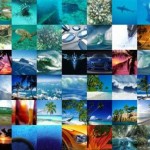 Επίδοξο διάδοχο των αρχείων JPEG αναπτύσσει η Google