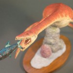 Η πέτρα ήταν τελικά κόκαλο του δεινόσαυρου Plesiosaurus