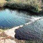 Τοξικό νερό στις καλλιέργειες