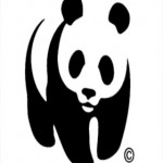 wwf_ellas_small Θερινά Προγράμματα Εθελοντικής Εργασίας και Δασοπυροπροστασίας