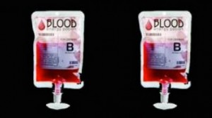 Έλληνες και μετανάστες έχουμε το ίδιο αίμα