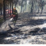 Πόσες εκτάσεις κάηκαν στις πυρκαγιές του Ιουλίου 2012