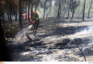 Πόσες εκτάσεις κάηκαν στις πυρκαγιές του Ιουλίου 2012