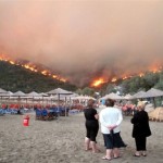 Σπίτια παραδόθηκαν στις φλόγες στη Χίο