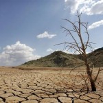 Ξηρασία και κακή σοδειά εκτινάσσουν τις τιμές των τροφίμων