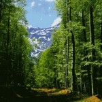 Οι πέντε περιβαλλοντικές πληγές της Ελλάδας