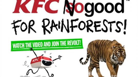 How KFC is Junking the Jungle