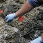Βρέθηκε νέος ομαδικός τάφος στη Συρία