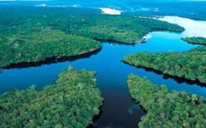 Θετική εξέλιξη για τη βιοποικιλότητα