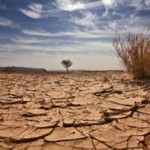 Πλήττεται από την ξηρασία το Κέρας της Αφρικής