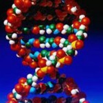 Νέα γενετική τεχνική γεννά ελπίδες για θεραπεία της αιμοφιλίας