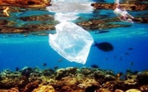 Συλλέχθηκαν τριάντα τόνοι απορριμμάτων από τον Θερμαϊκό