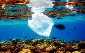 Συλλέχθηκαν τριάντα τόνοι απορριμμάτων από τον Θερμαϊκό