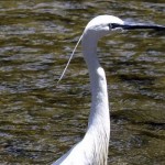Καταγραφή όλων των εκτάσεων Natura