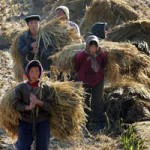 Έξι εκατομμύρια Βορειοκορεάτες χρήζουν άμεσης επισιτιστικής βοήθειας