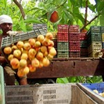 Δουλειές υπάρχουν αλλά οι Ελληνες δεν πάνε!