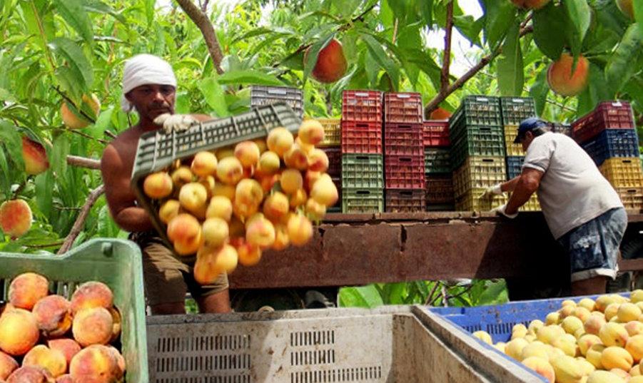 Δουλειές υπάρχουν αλλά οι Ελληνες δεν πάνε!