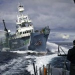 Διέκοψαν την ιαπωνική φαλαινοθηρία στην Ανταρκτική