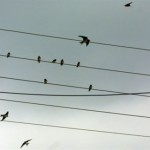 Αύξηση στην κατανάλωση ηλεκτρικής ενέργειας