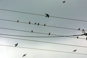 Αύξηση στην κατανάλωση ηλεκτρικής ενέργειας