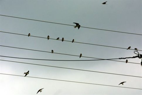 Αύξηση στην κατανάλωση ηλεκτρικής ενέργειας