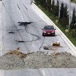 Κερατέα: Έσκαψαν τάφρους στη λεωφόρο Λαυρίου