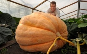 Κολοκύθα ζυγίζει 453 κιλά!
