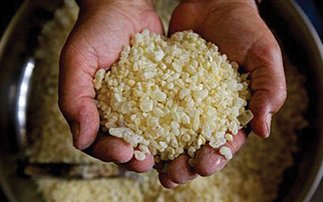 Οι ευεργετικές ιδιότητες της μαστίχας