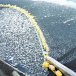 Εξαφανίζονται τα ψάρια στη Μεσόγειο