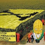 Η Ευρώπη αντιστέκεται στα μεταλλαγμένα