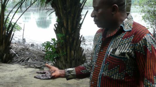 Δέλτα του Νίγηρα: Ένας αγρότης εναντιώθηκε στη Shell και νίκησε