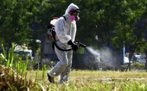 «Μάχη» με τα κουνούπια στο δήμο Θεσσαλονίκης