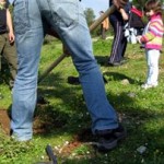 Πεντελικό Όρος: Καινούρια ζωή