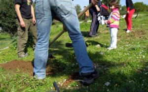 Πεντελικό Όρος: Καινούρια ζωή