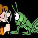 Πανελλαδικές 2012: εκφωνήσεις και απαντήσεις στα θέματα βιολογίας θετικής κατεύθυνσης