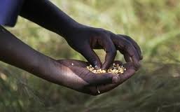 Παγκόσμια Τράπεζα: Απειλή για τους φτωχούς του πλανήτη οι αυξήσεις στα τρόφιμα